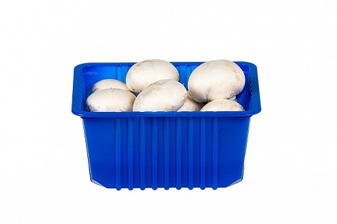 Перфорированный контейнер для грибов 140х118х68
